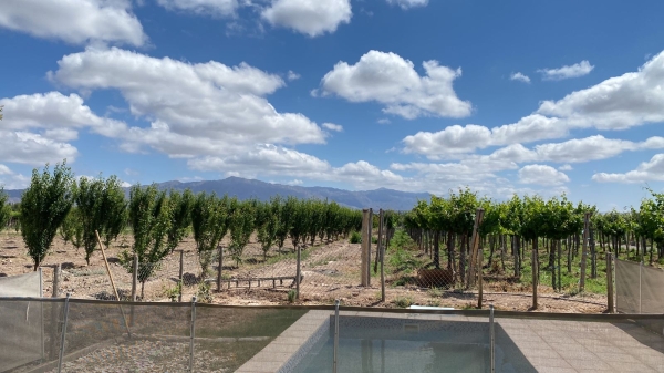 WhatsApp Image 2025-08-29 at 11.53.14.jpeg